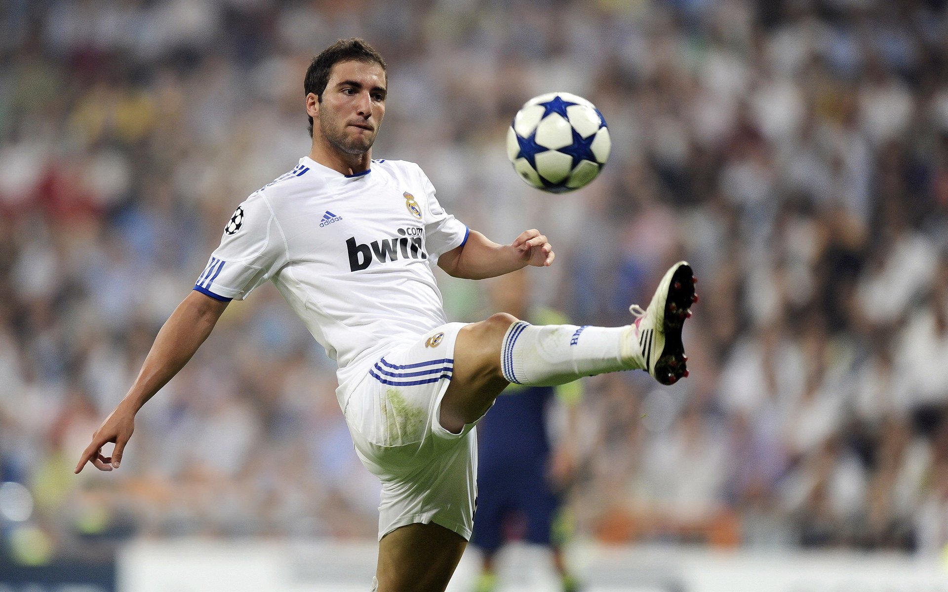 突尼斯强势晋级，弗拉霍维奇主宰比赛走向